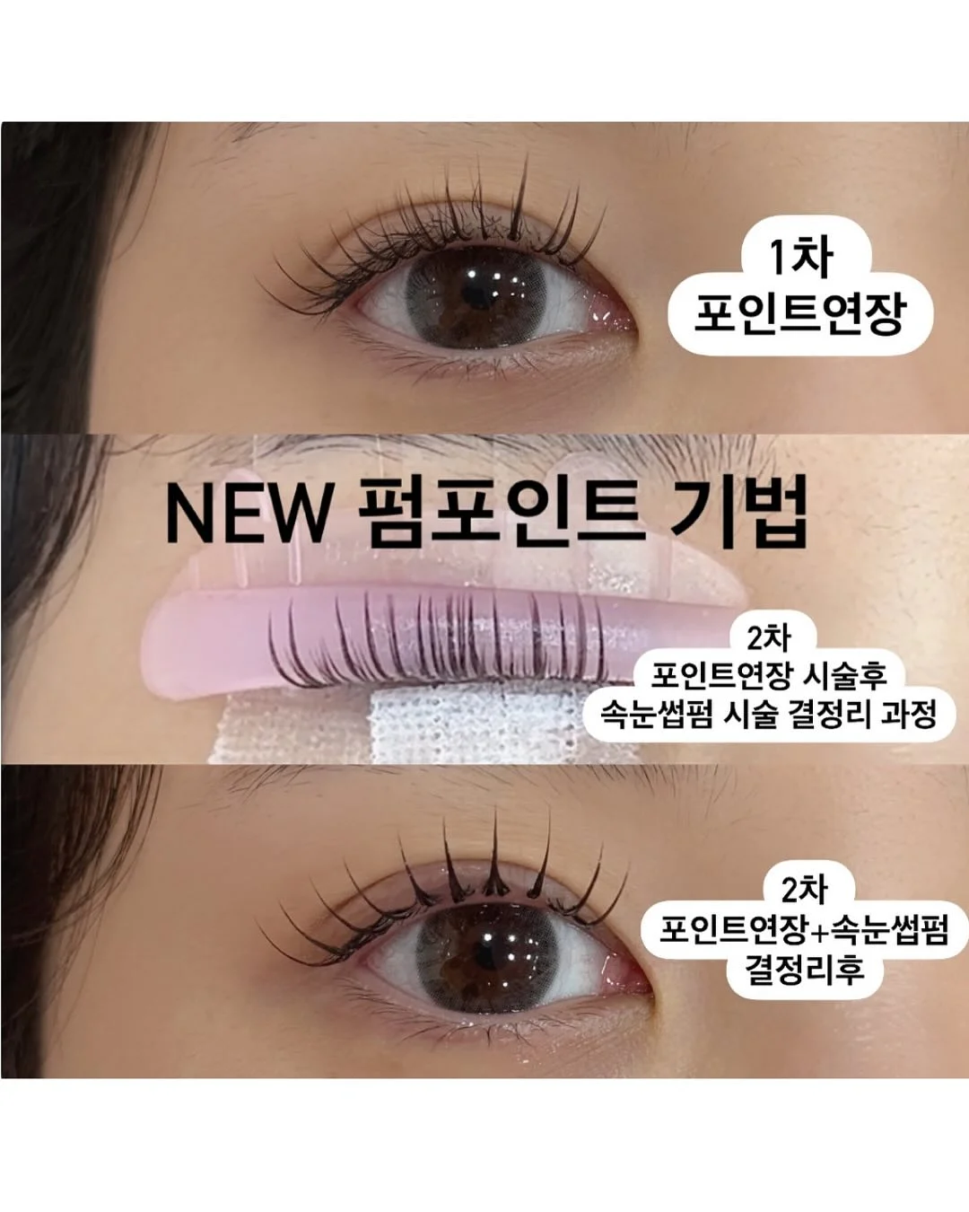 닌자 크리스피 3