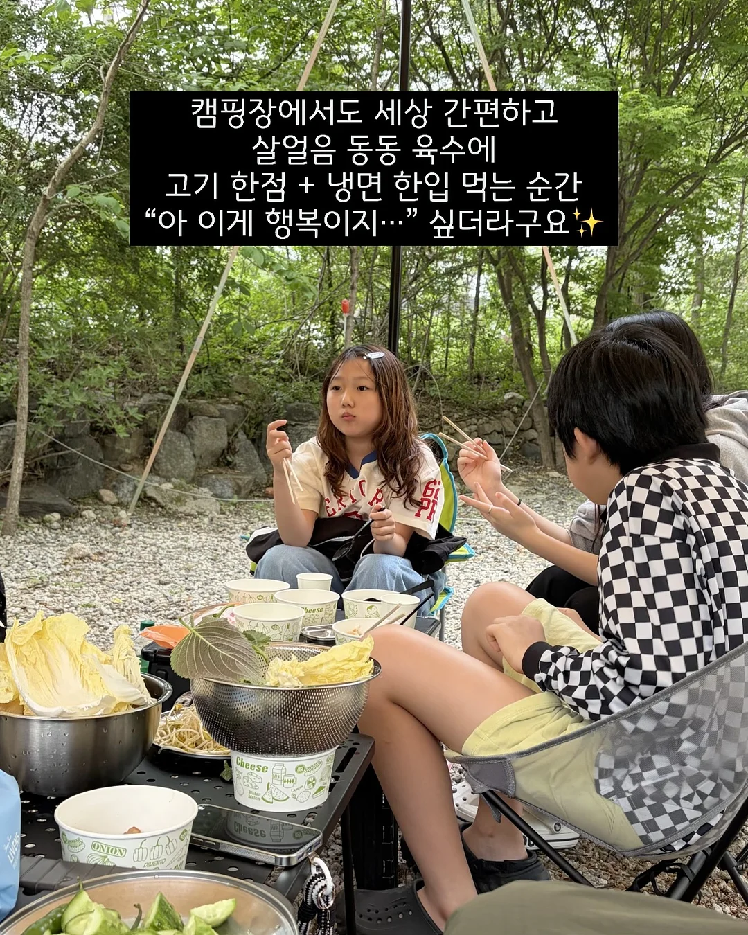 강아지 사료 5