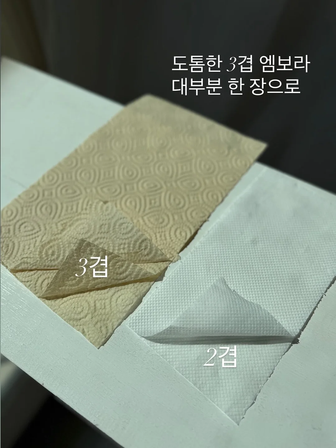 레이스 고양이 티 11