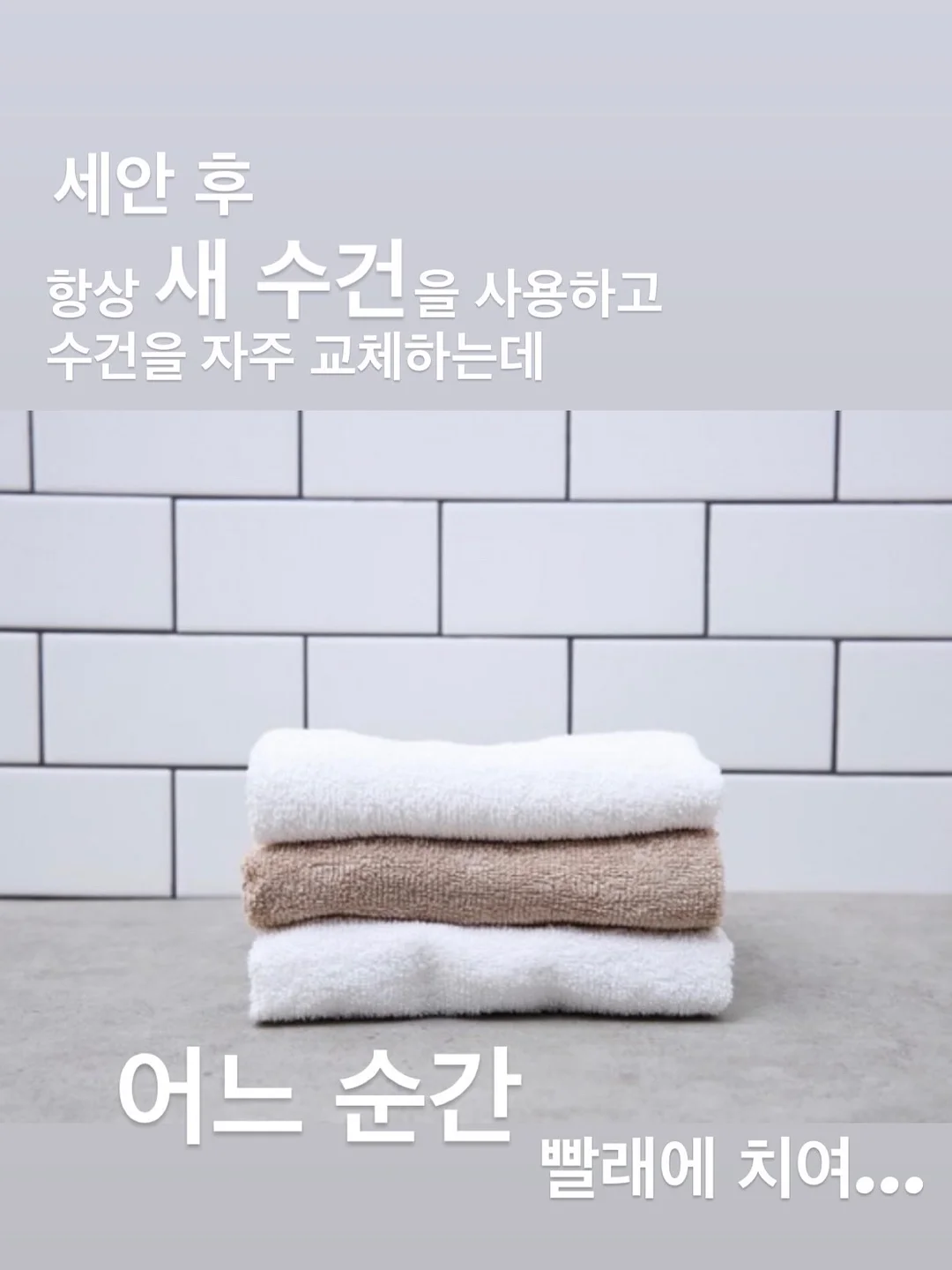 레이스 고양이 티 13