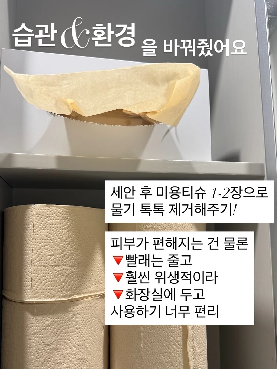 레이스 고양이 티 14