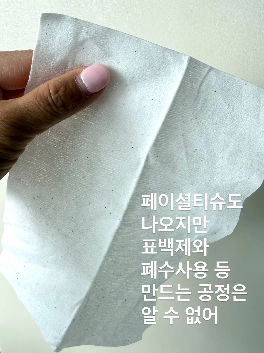 레이스 고양이 티 15