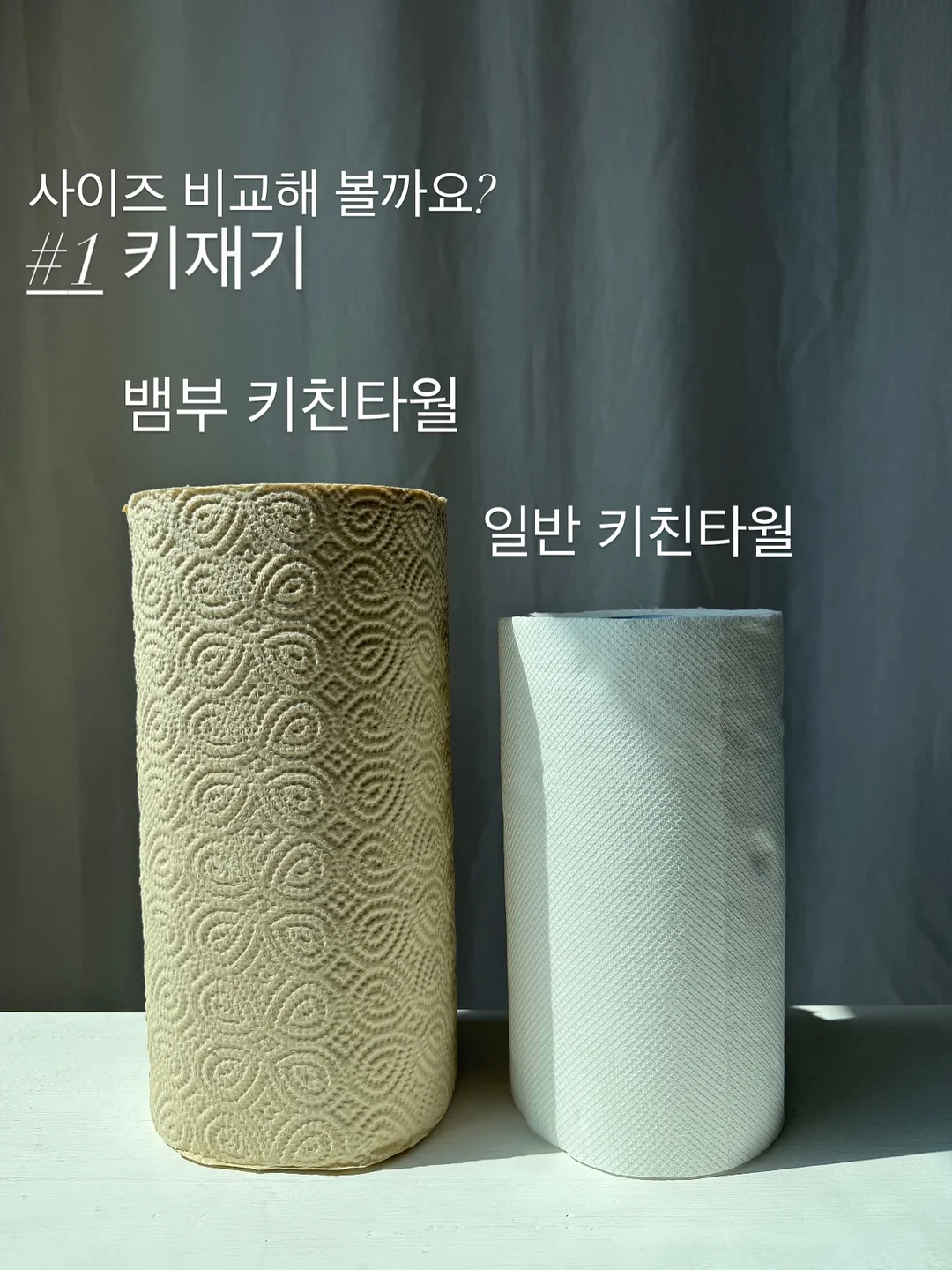 레이스 고양이 티 8