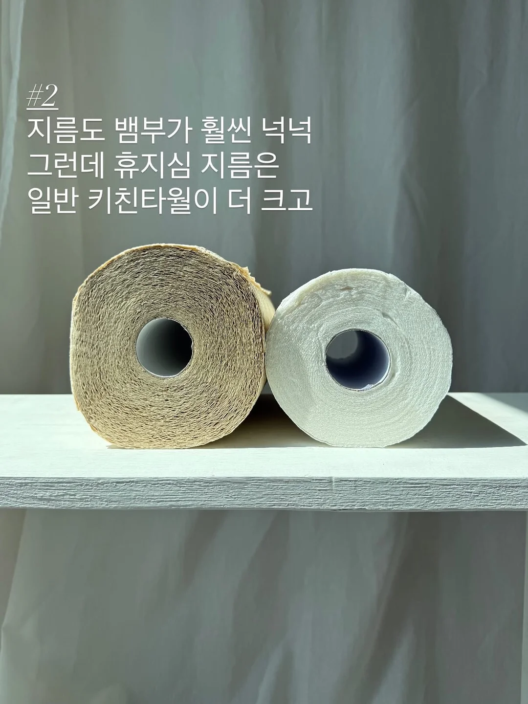 레이스 고양이 티 9