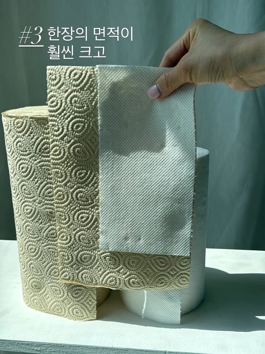 레이스 고양이 티 10