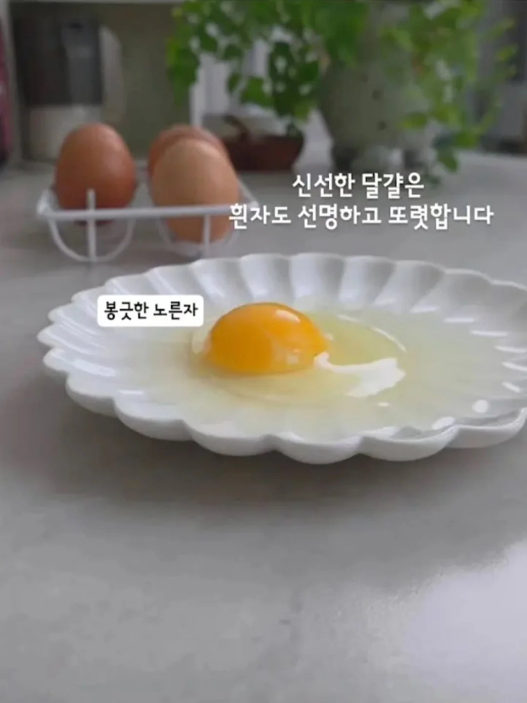 하이브로우 수납백 플립박스 스토리지백 11