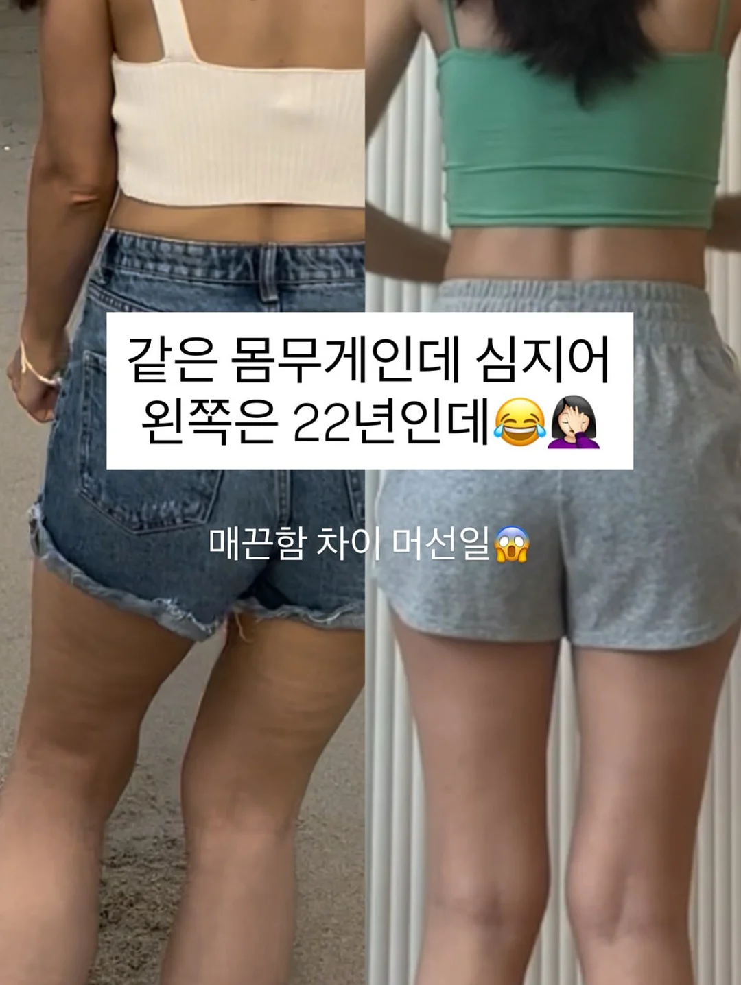 과일로 전기를 만들고 시계를 움직여 보는 특별한 수업 7