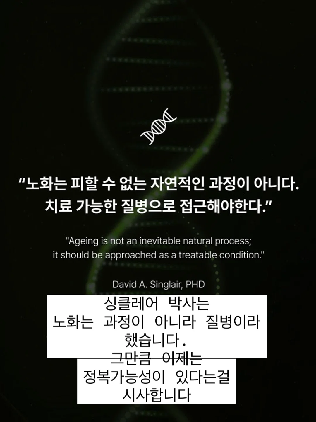 마스킹테이프 11