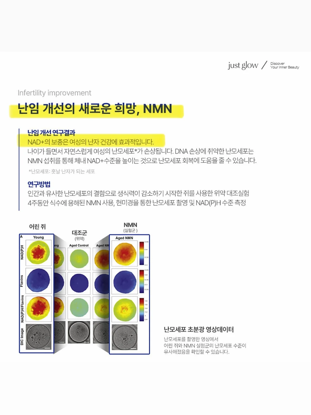 마스킹테이프 4