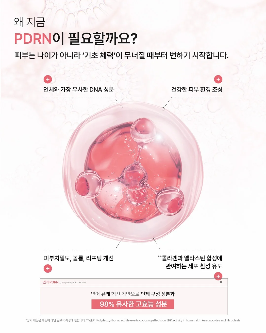 버섯 요리 레시피 3