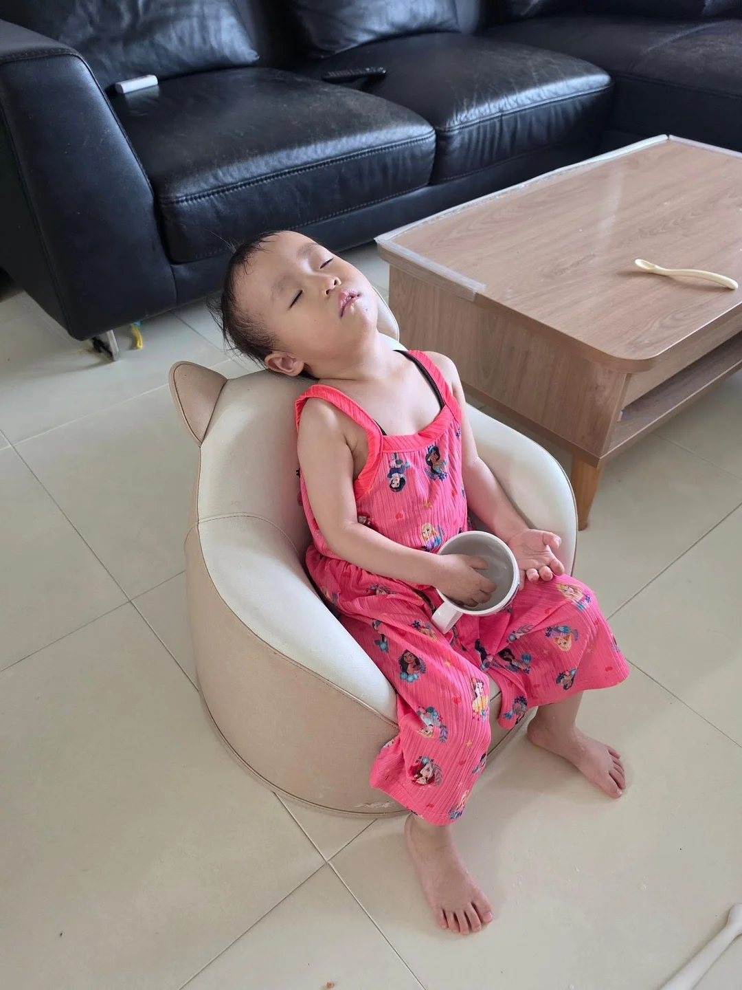 애견용품 방석 매트, 강아지 계단 15