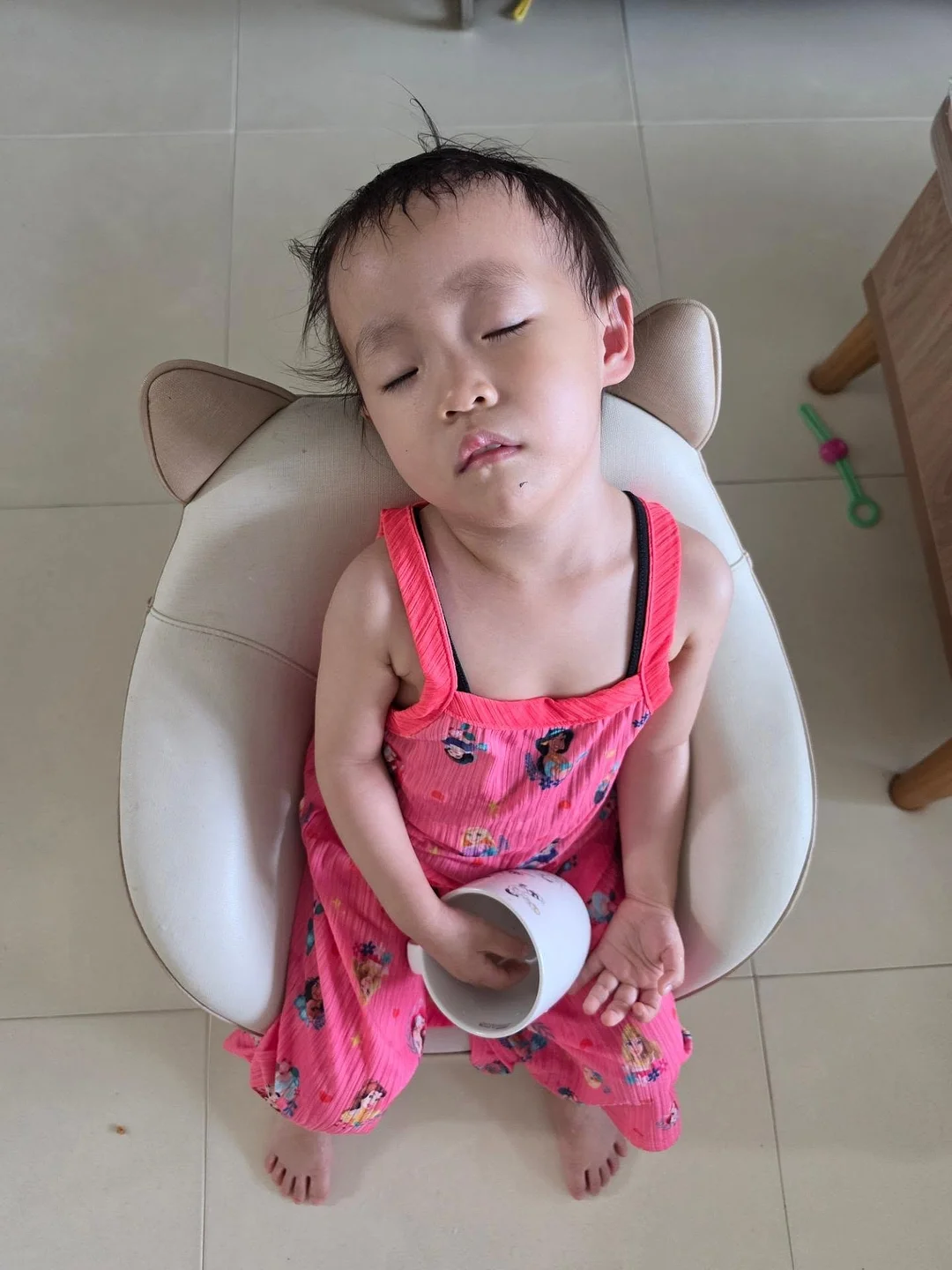 애견용품 방석 매트, 강아지 계단 16