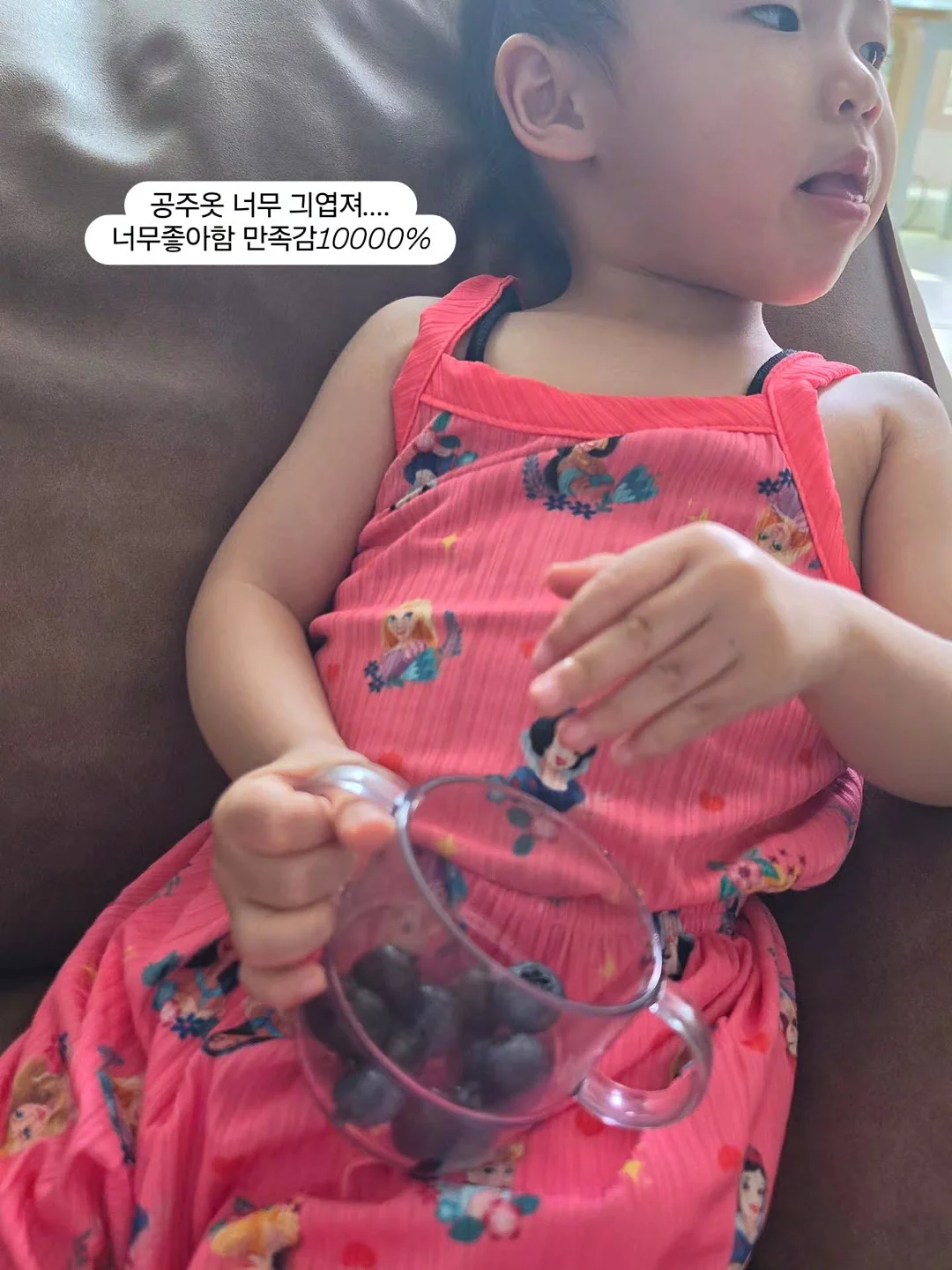 애견용품 방석 매트, 강아지 계단 9