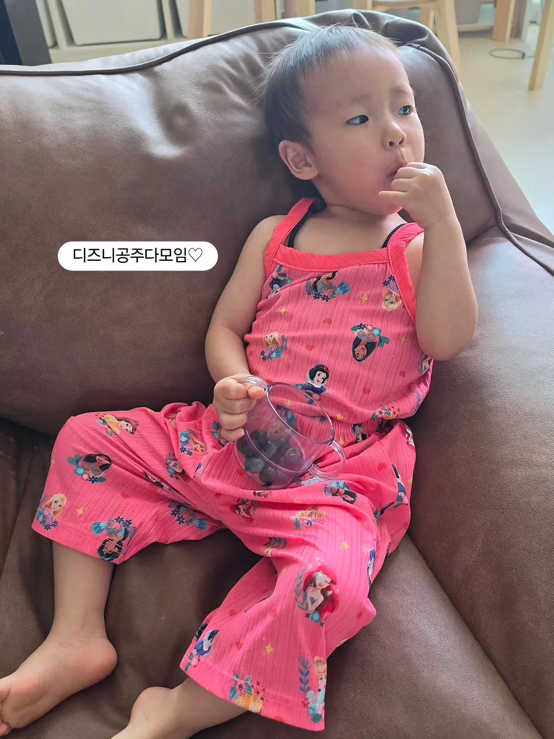 애견용품 방석 매트, 강아지 계단 10