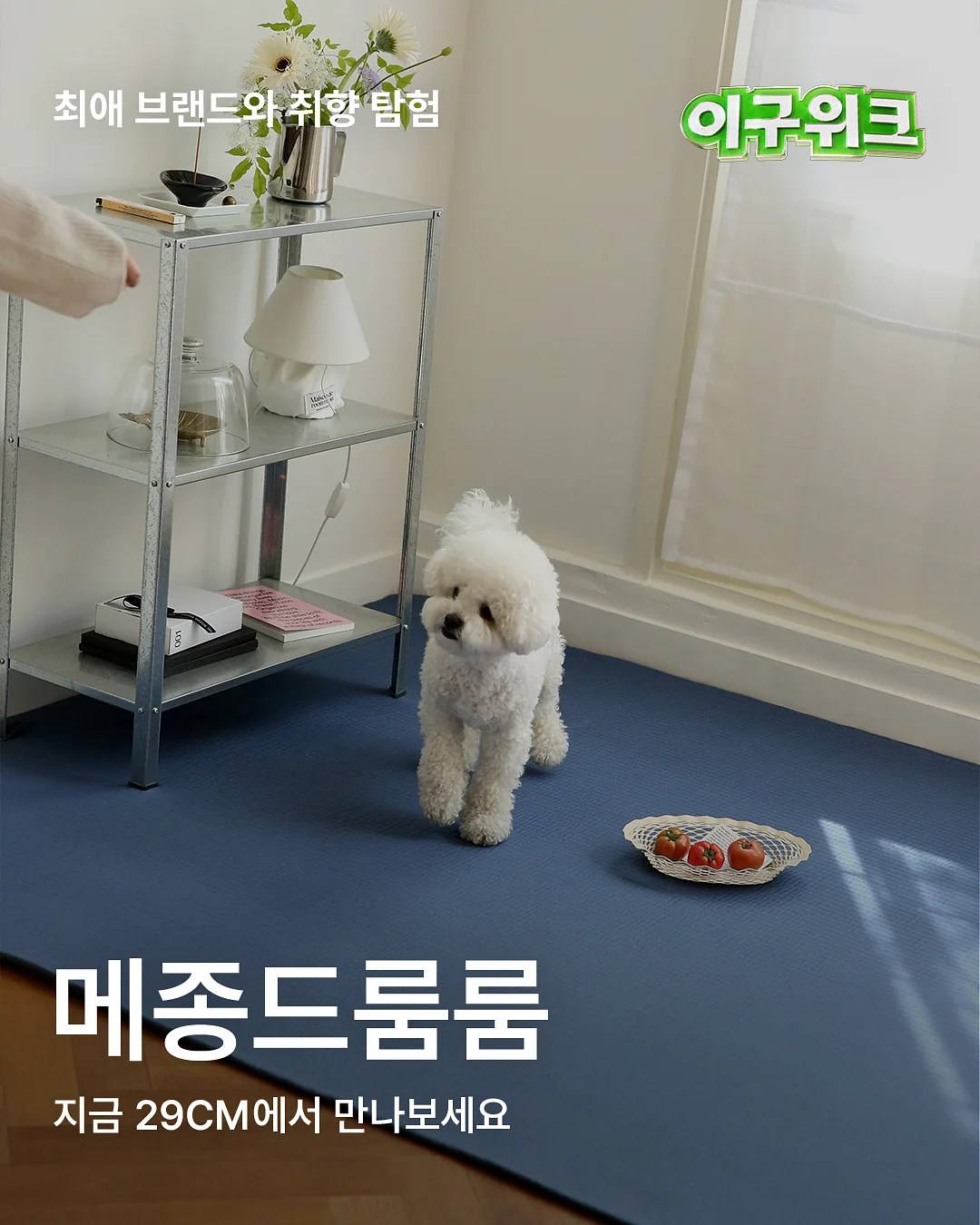 아미 빅로고 맨투맨 3