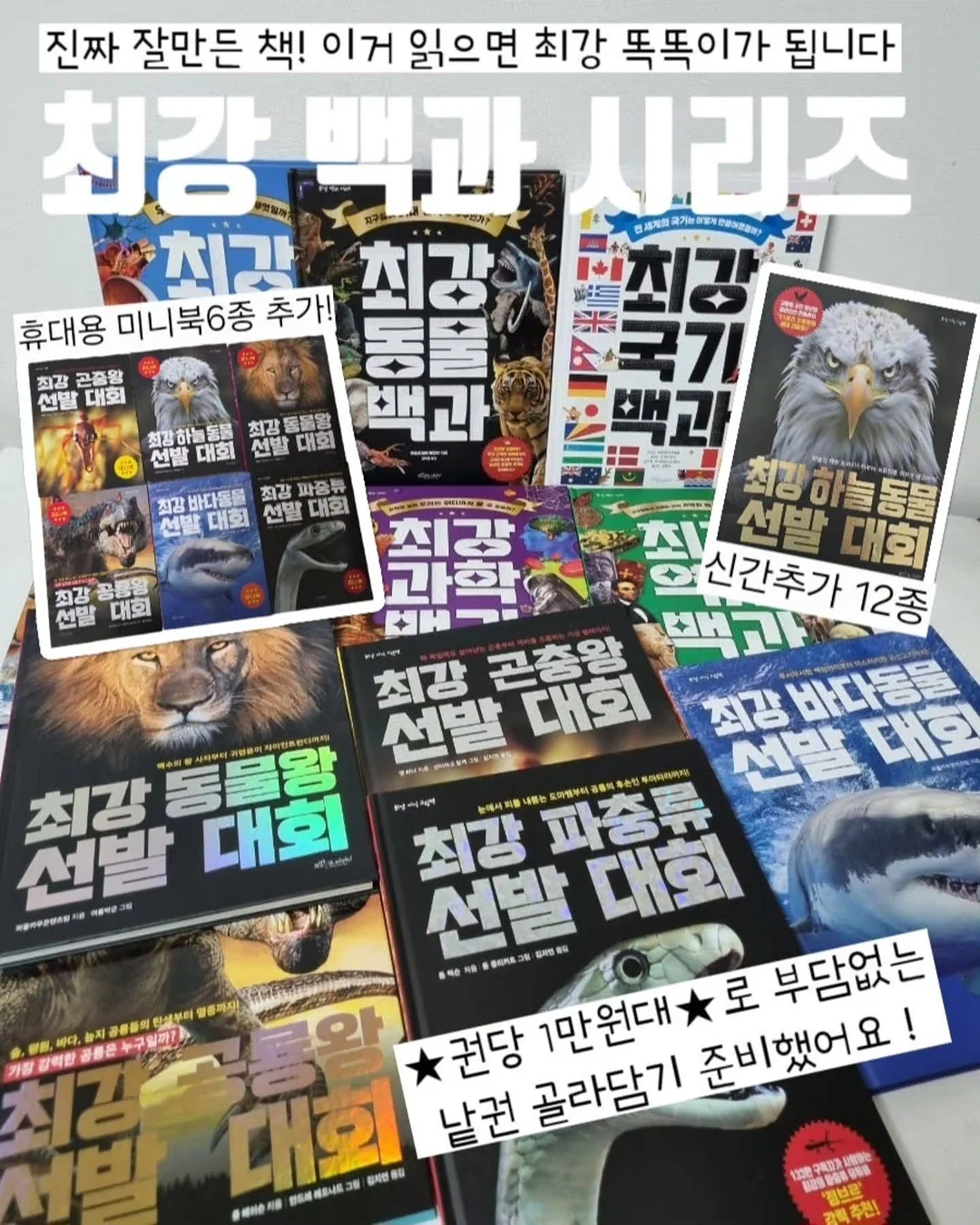 아디불꽃 스타일 레깅스 1