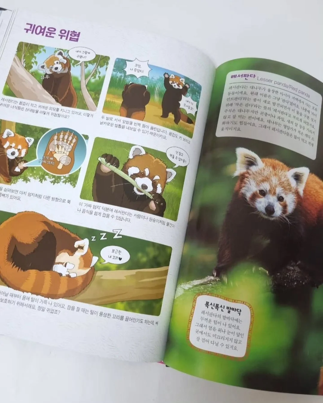 아디불꽃 스타일 레깅스 12