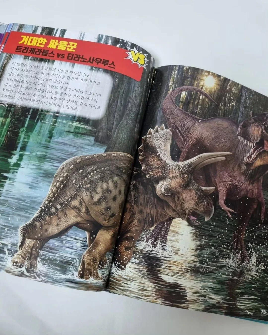 아디불꽃 스타일 레깅스 13