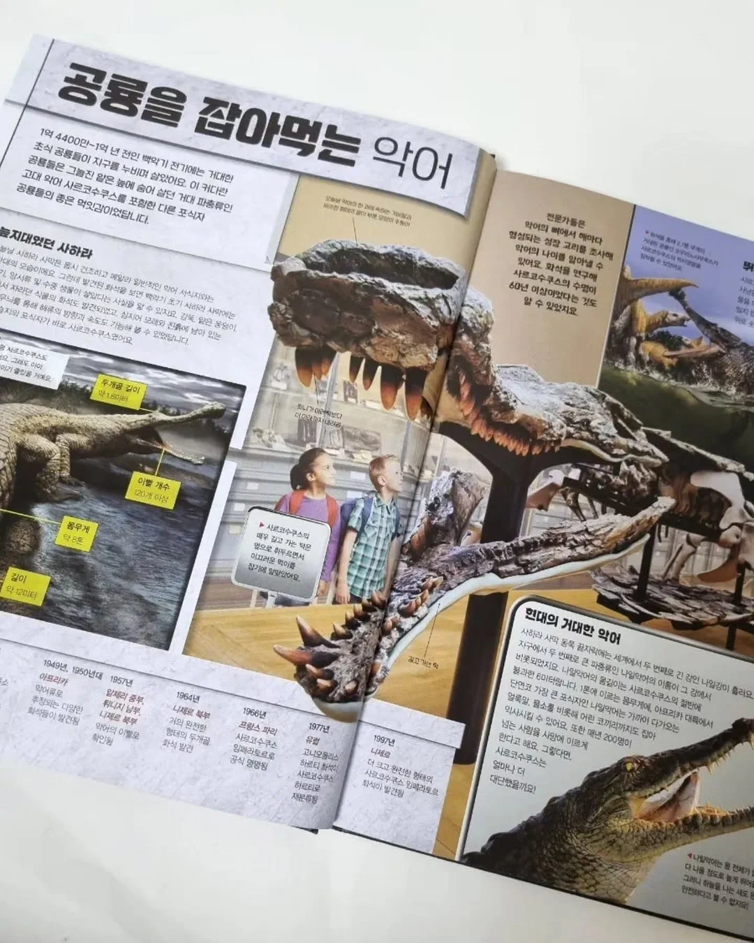 아디불꽃 스타일 레깅스 15