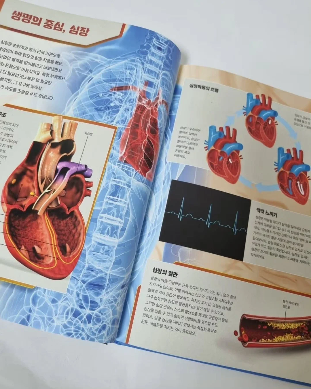 아디불꽃 스타일 레깅스 19