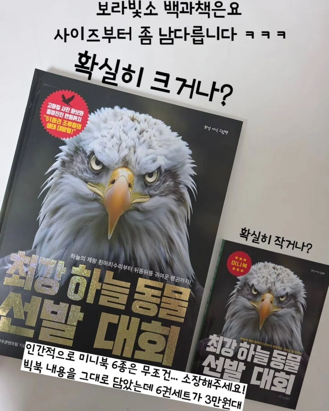 아디불꽃 스타일 레깅스 2