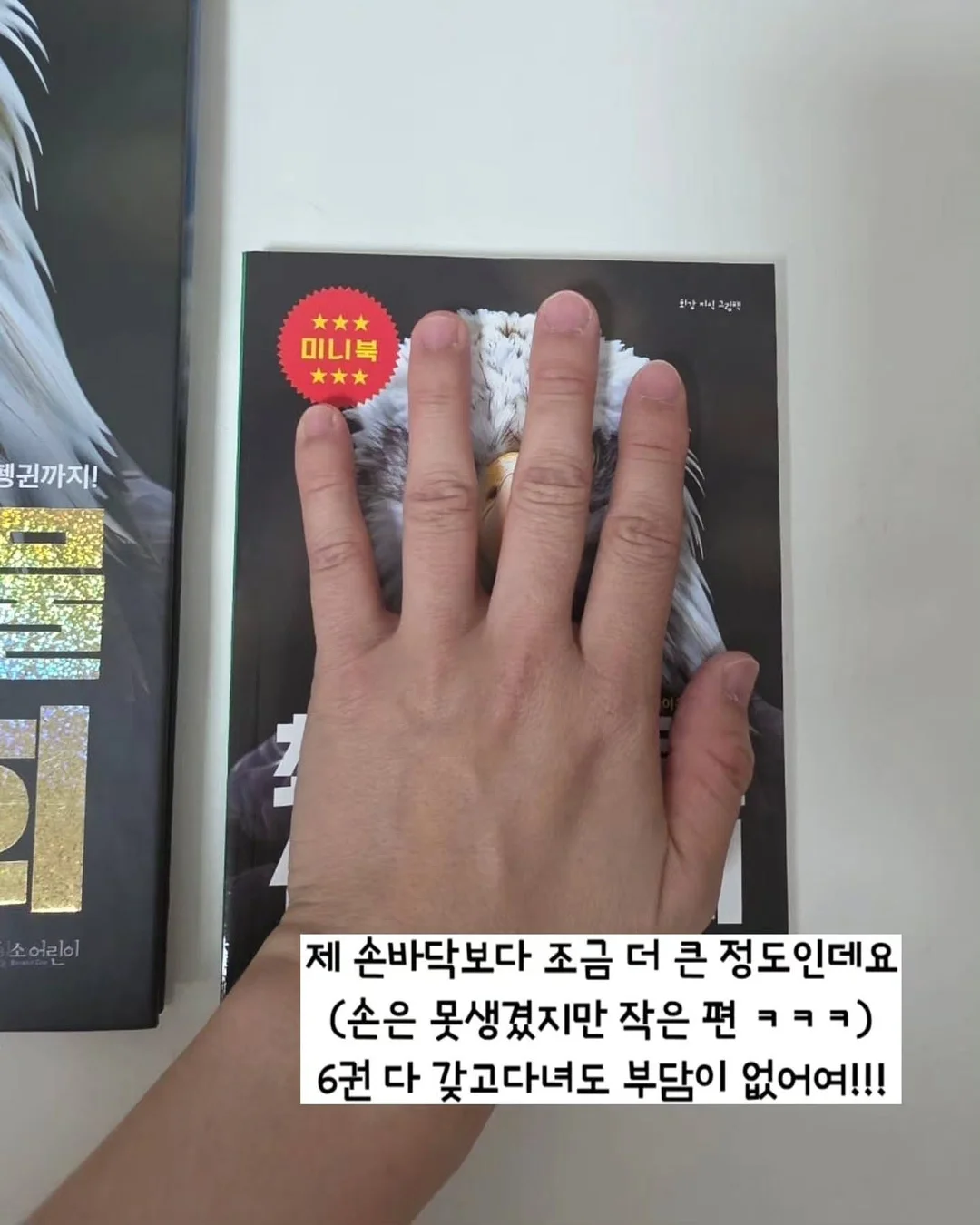 아디불꽃 스타일 레깅스 3