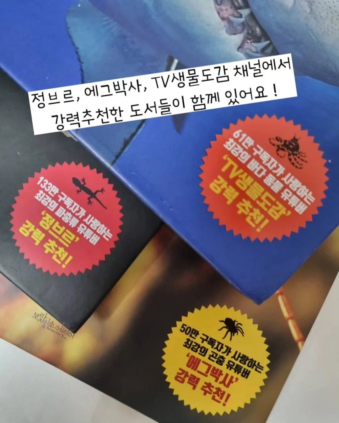 아디불꽃 스타일 레깅스 5