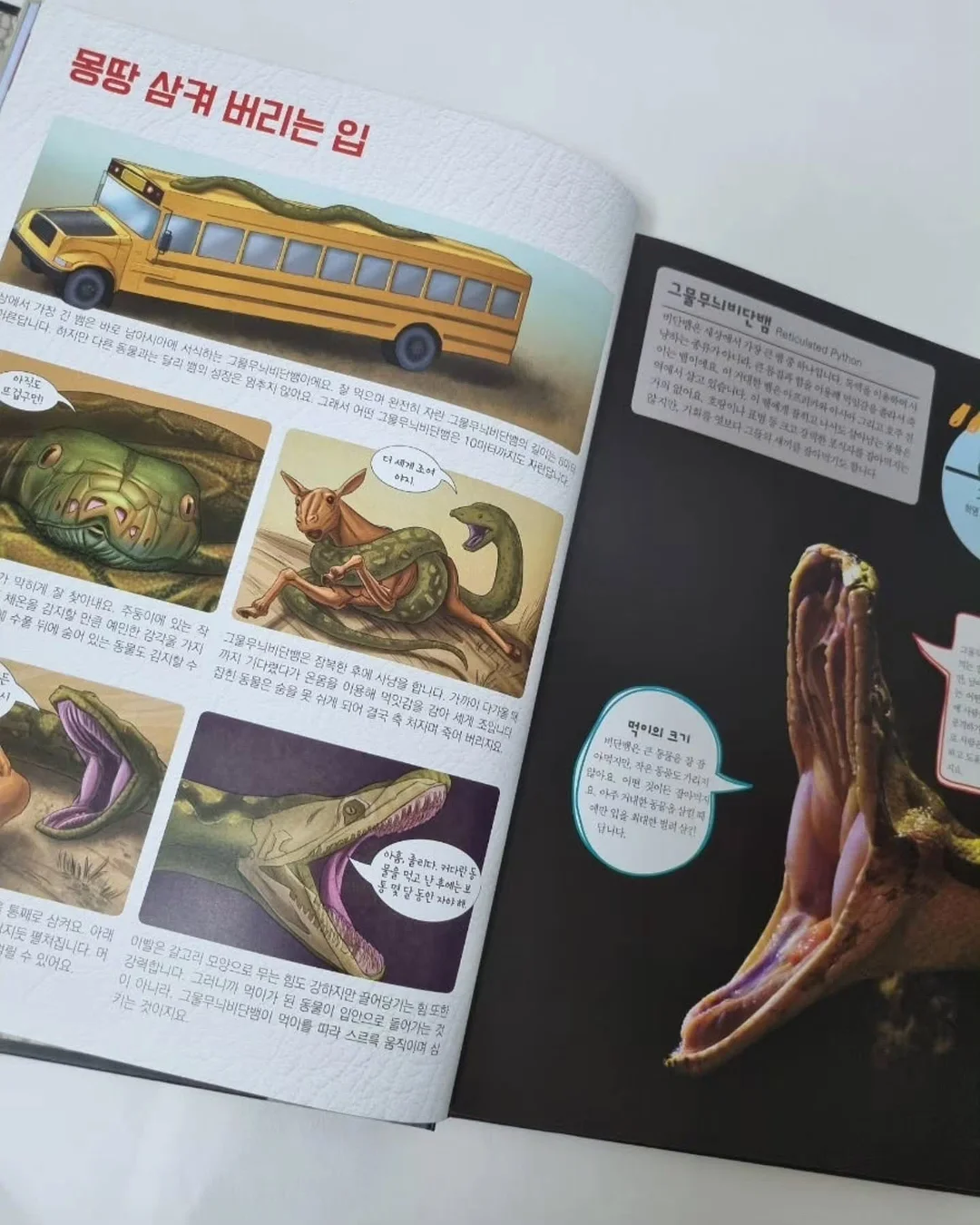 아디불꽃 스타일 레깅스 8