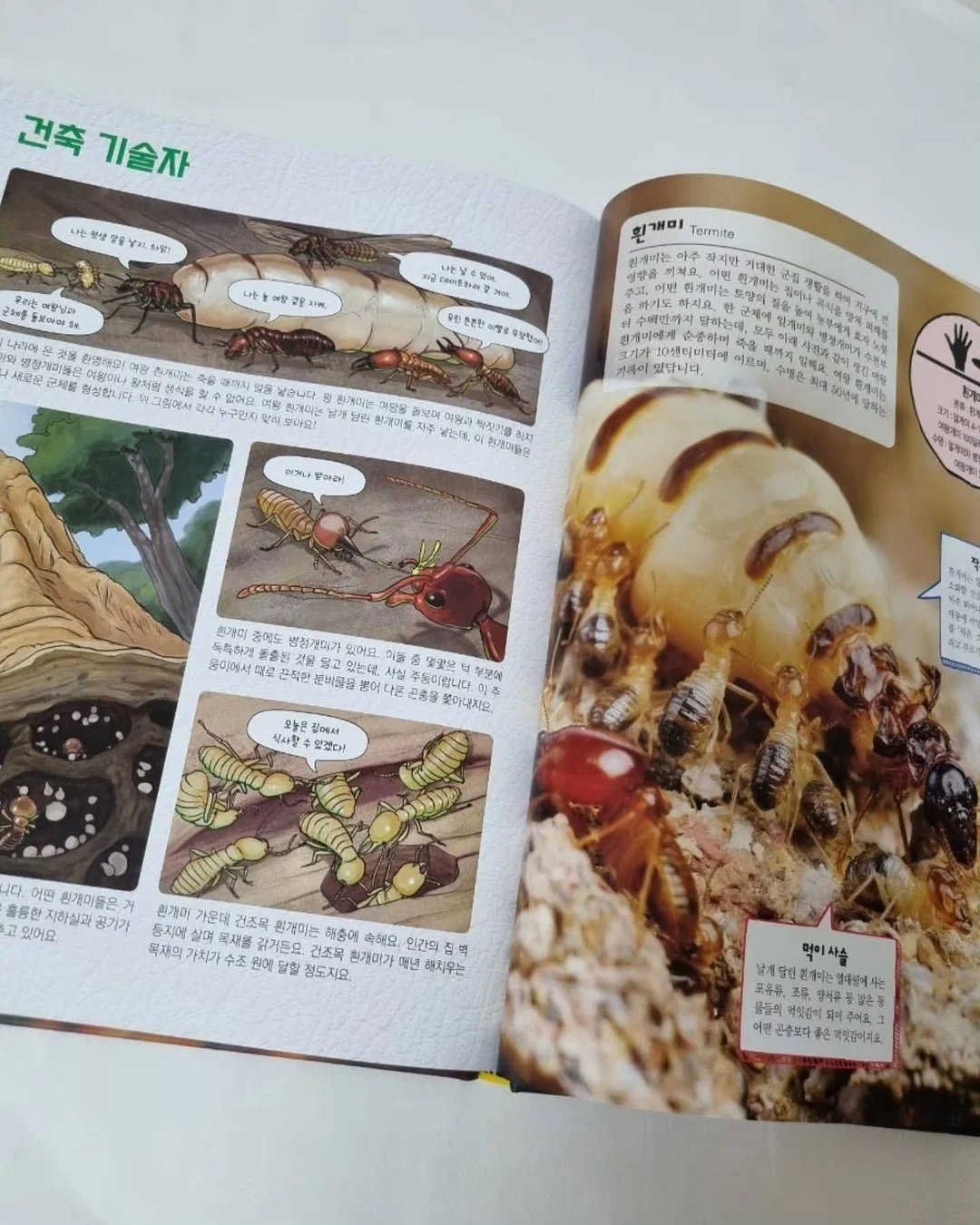 아디불꽃 스타일 레깅스 10