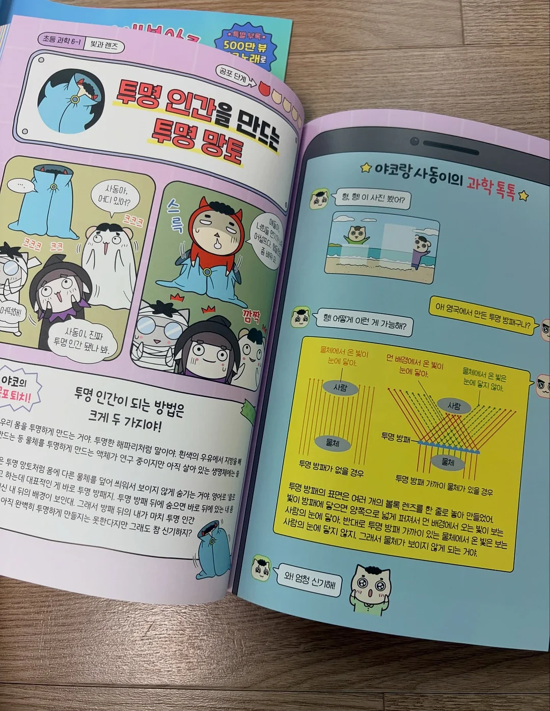물푸레나무 대품 12