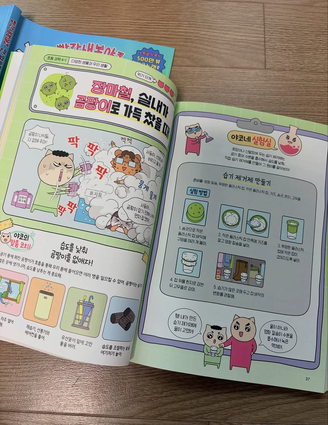 물푸레나무 대품 13