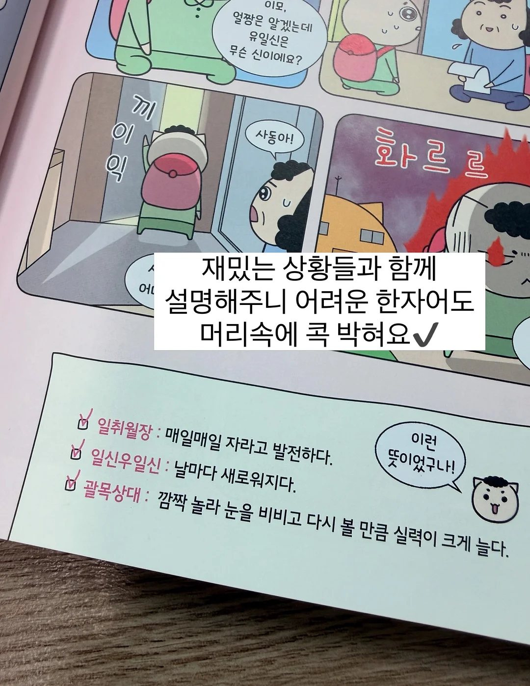 물푸레나무 대품 16