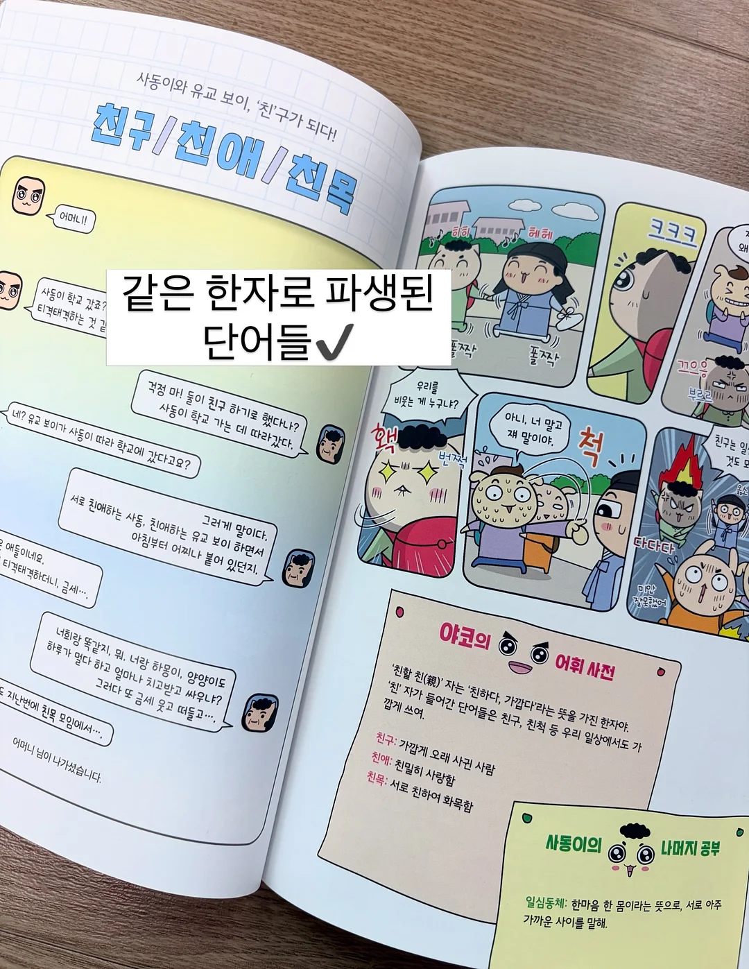 물푸레나무 대품 18