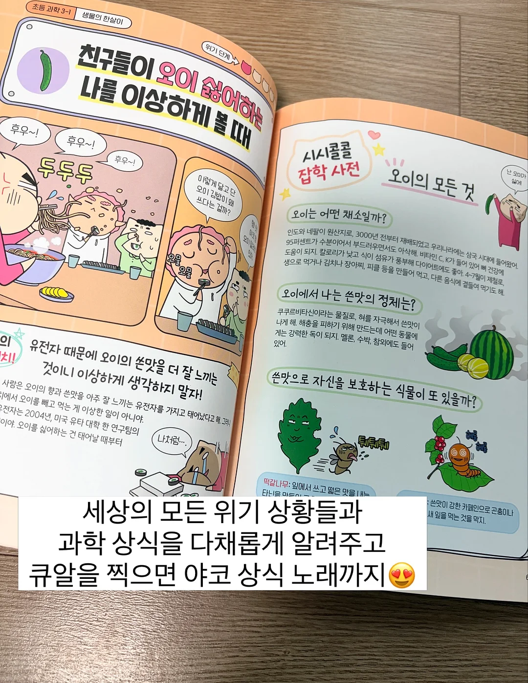 물푸레나무 대품 3