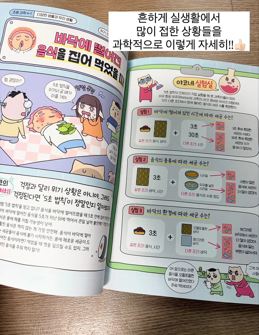 물푸레나무 대품 4