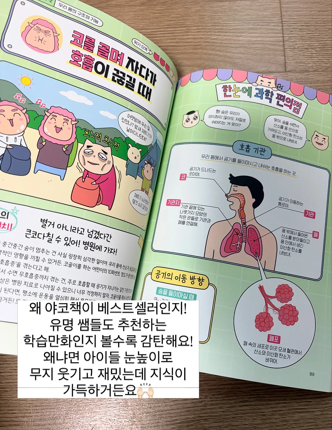 물푸레나무 대품 5