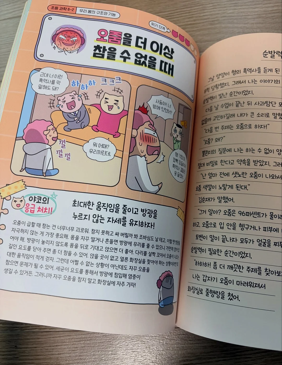 물푸레나무 대품 6