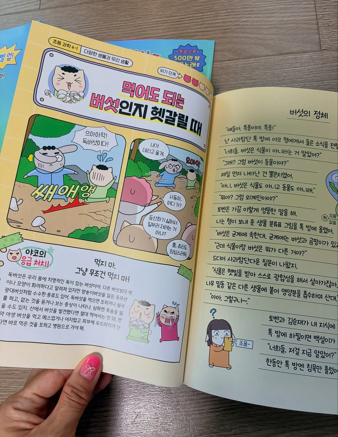 물푸레나무 대품 7