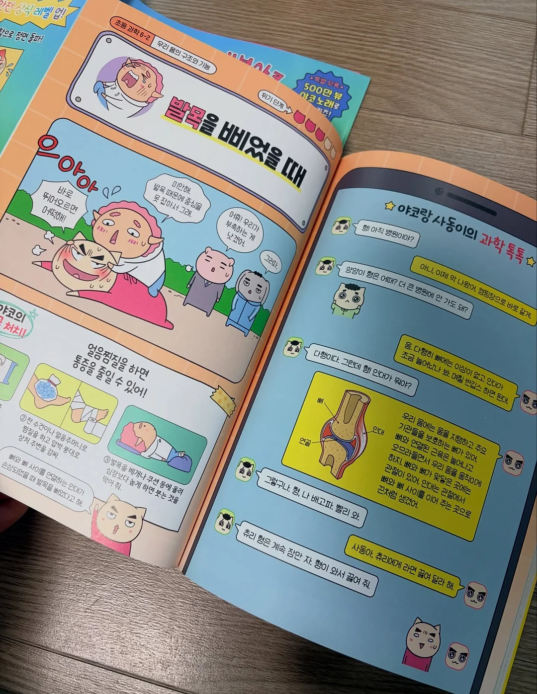 물푸레나무 대품 8