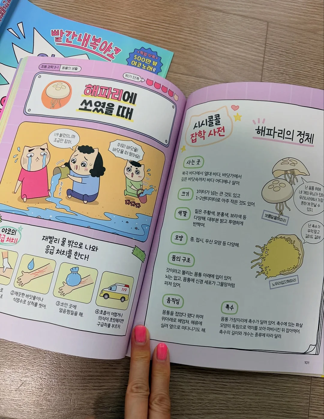 물푸레나무 대품 9