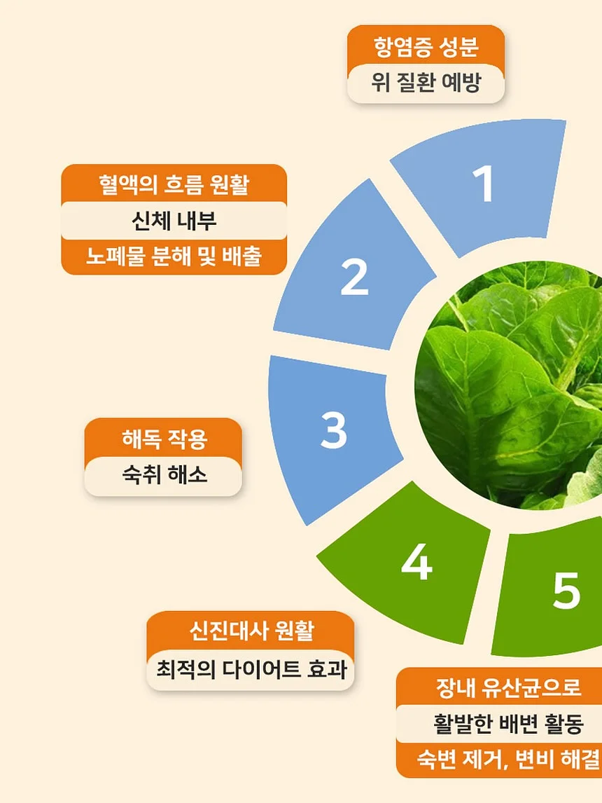 크로쉐 뷔스티에 세트 & AC 스트라이프 카라 스웨터 5