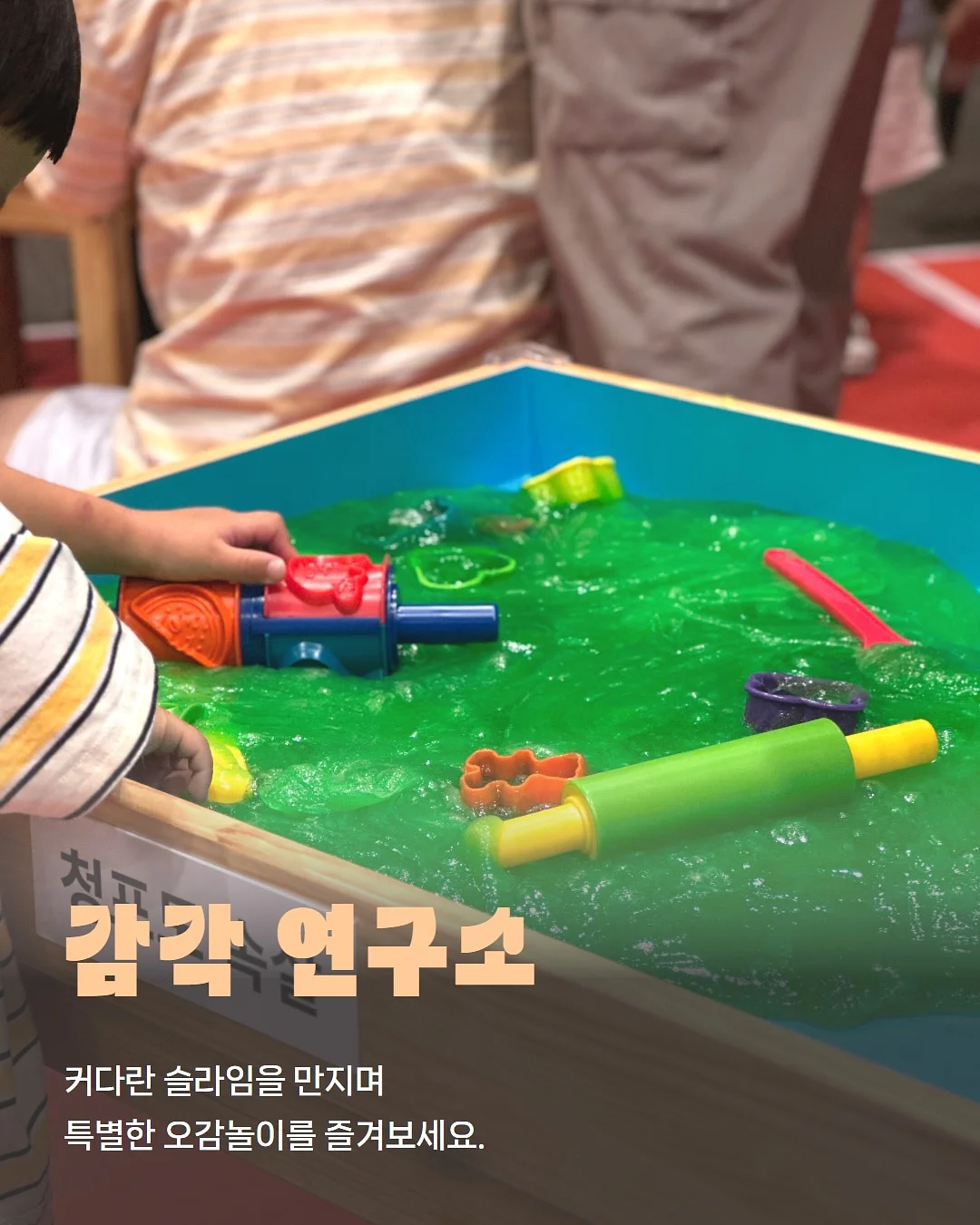 제주 가정식 집밥 도시락 3