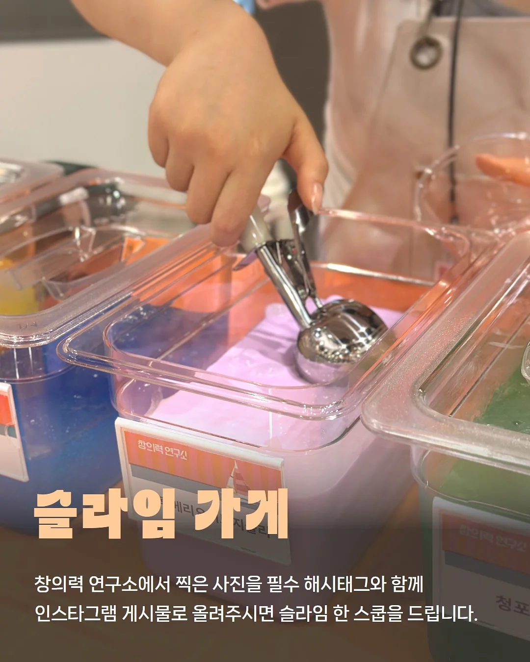 제주 가정식 집밥 도시락 4