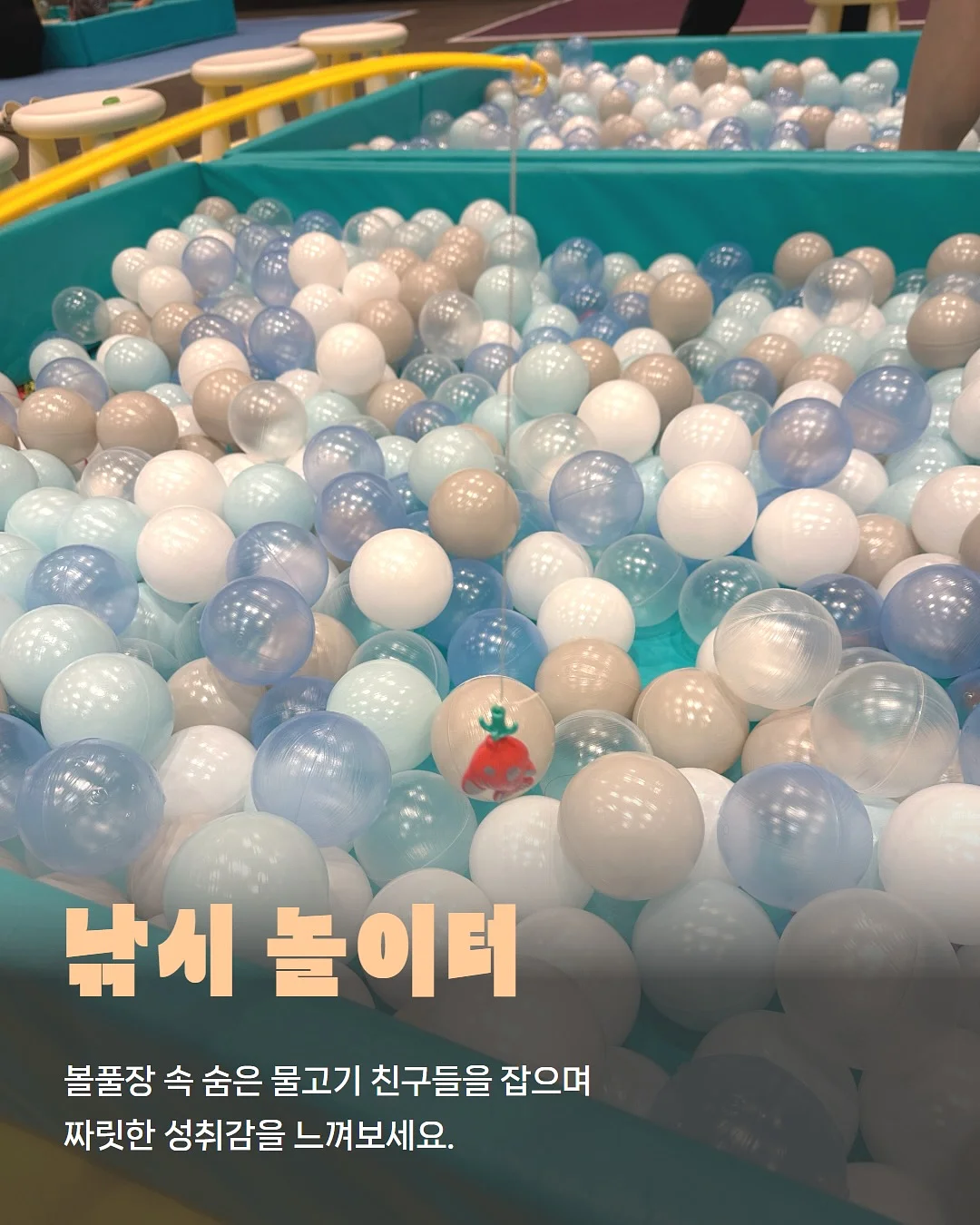 제주 가정식 집밥 도시락 5