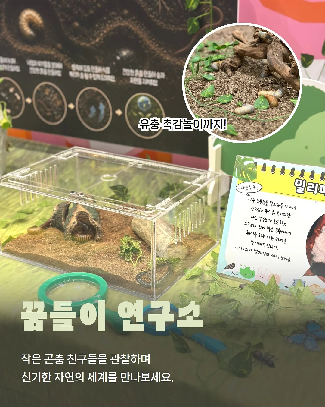 제주 가정식 집밥 도시락 6