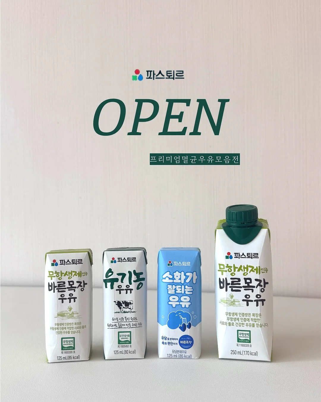 유럽 스타일 철재 아치 단조 1