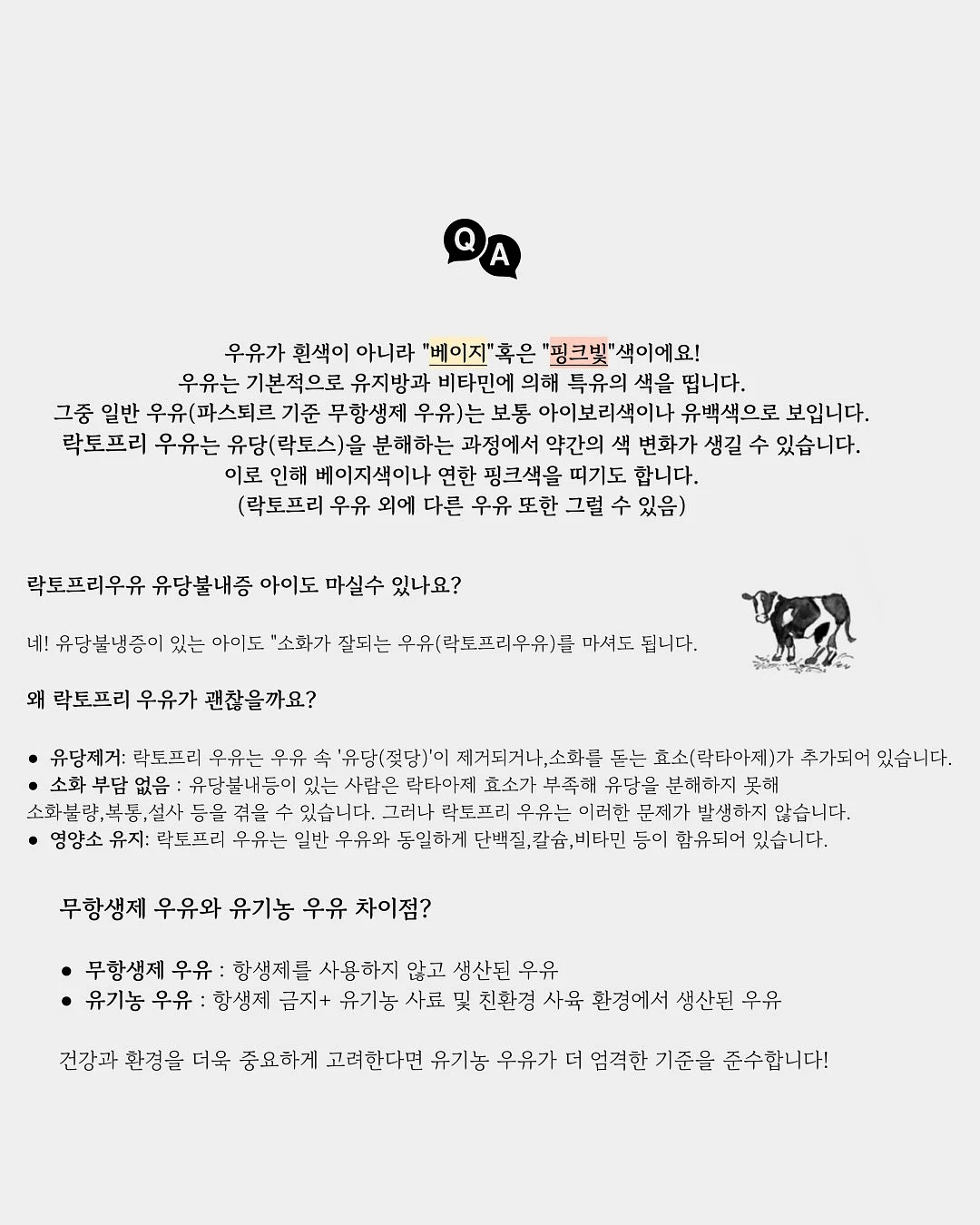 유럽 스타일 철재 아치 단조 5