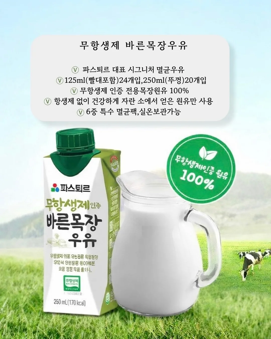 유럽 스타일 철재 아치 단조 7