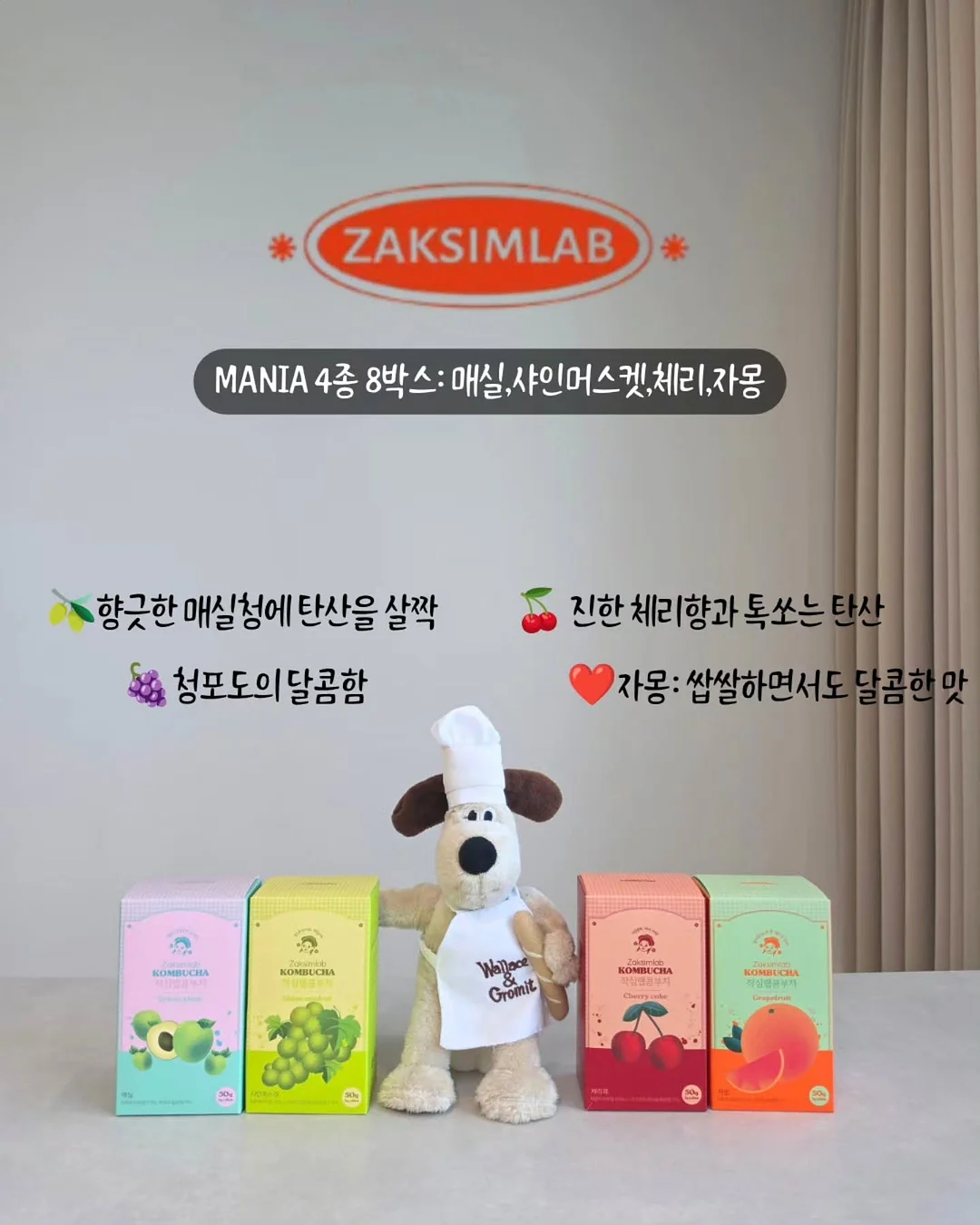 전기포트 세정 타블렛 2
