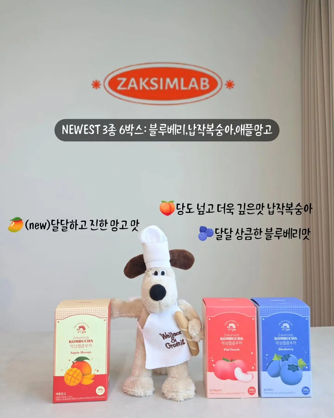 전기포트 세정 타블렛 3
